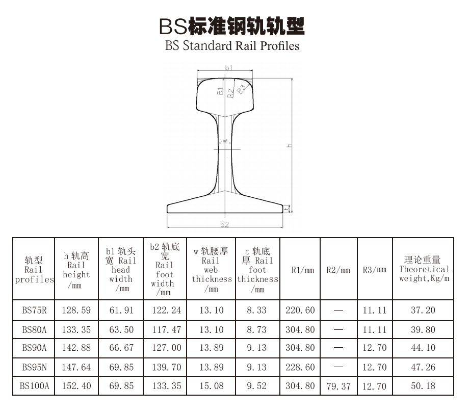 Profils rails standard BS